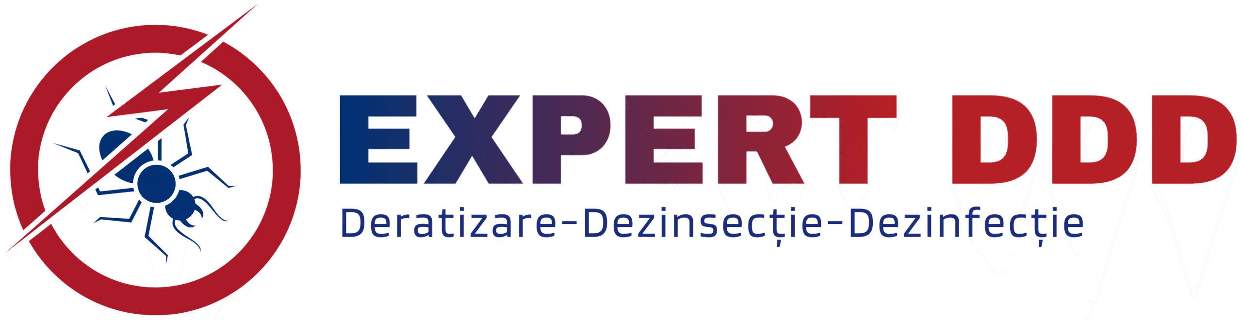 EXPERT DDD